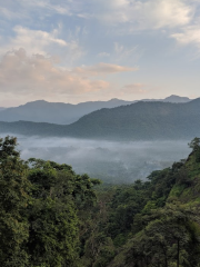 New Amarambalam Wildlife Sanctuary