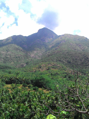 Kurangani Hills Trekking