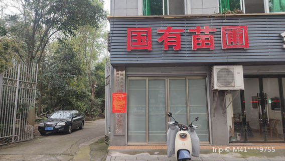 State-owned Taoyuan County Nursery in Hunan Province