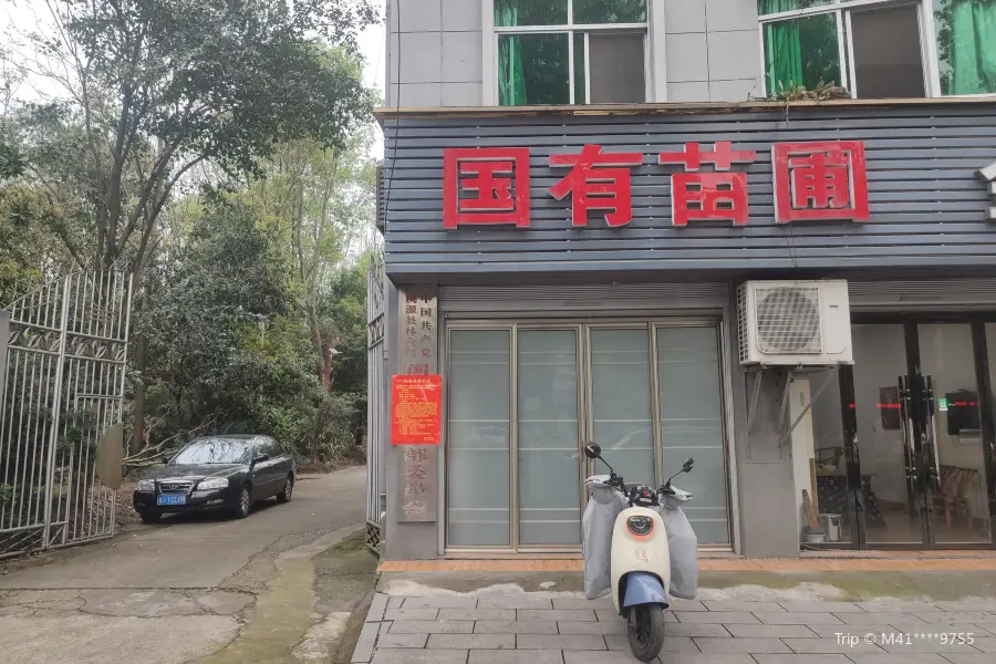 State-owned Taoyuan County Nursery in Hunan Province