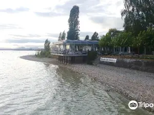 Парк Меттнау