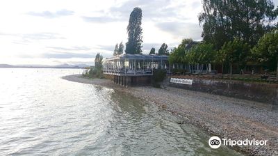 Mettnaupark