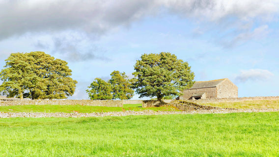 Bampton