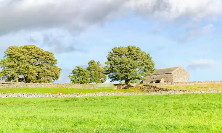 Bampton
