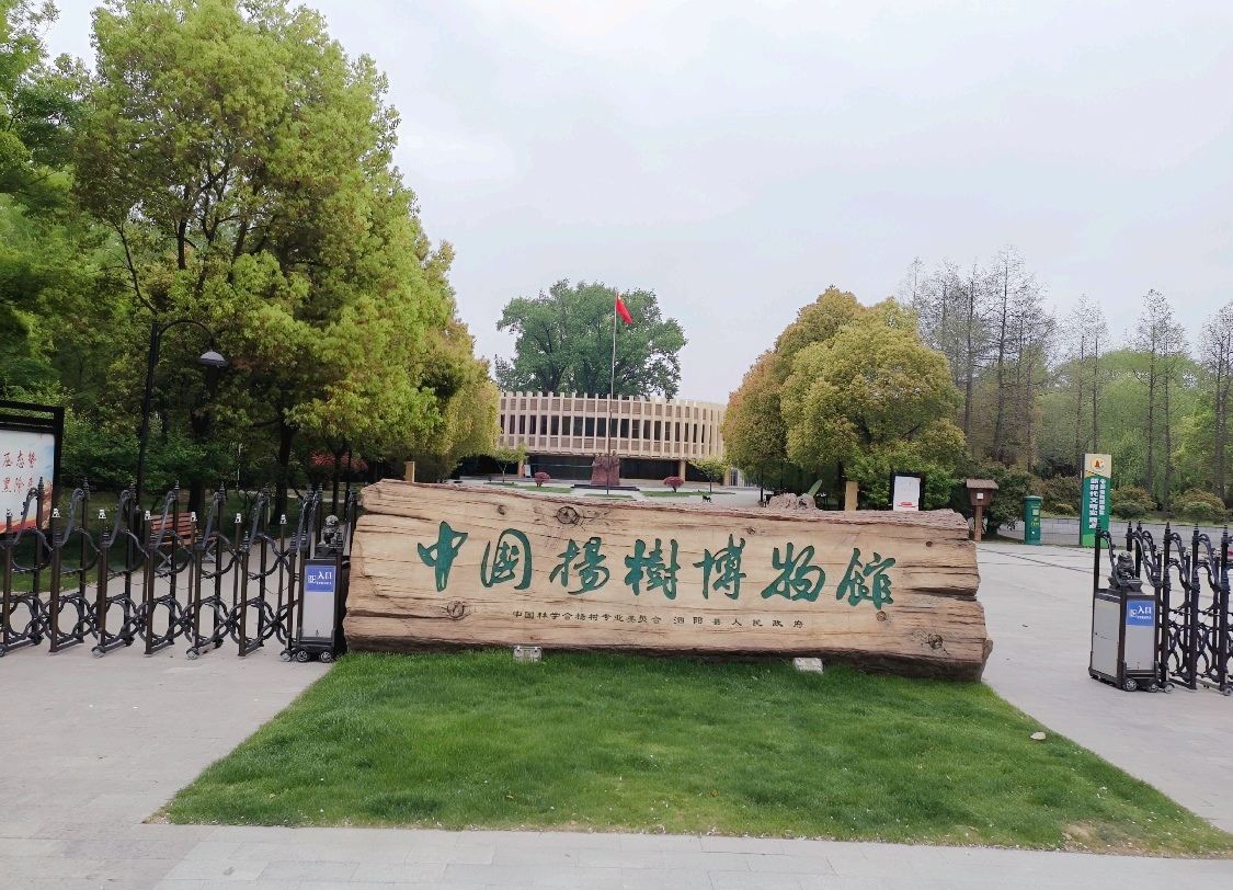 China Yangshu Museum