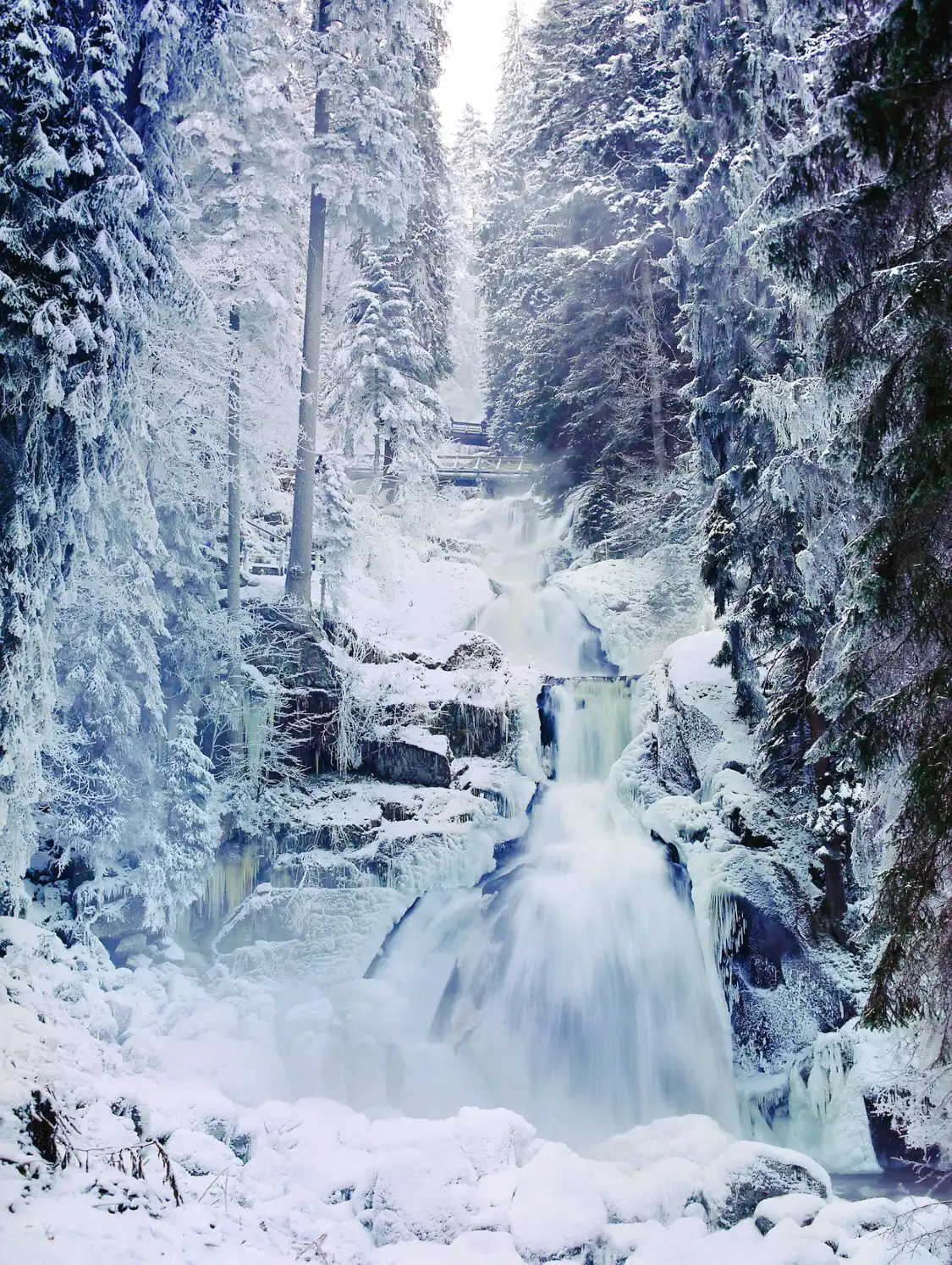 Hotels near Triberg Waterfalls