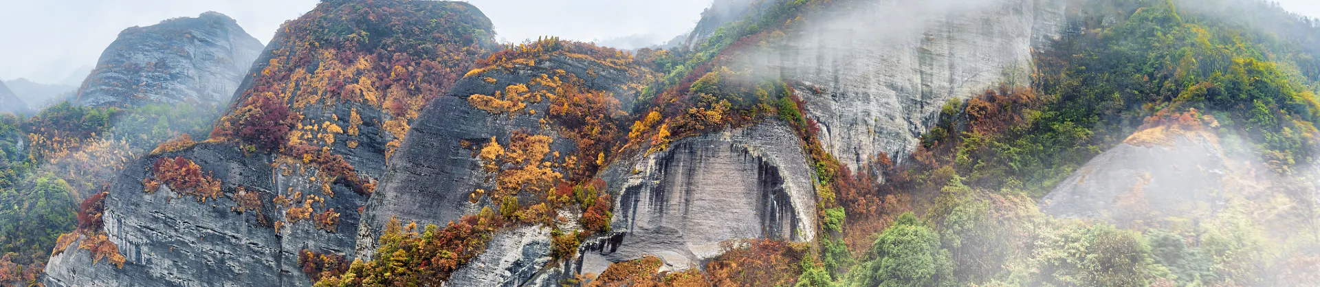 Fall Viewing Attractions