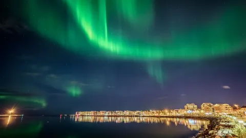 Aurora Chasing in Reykjavik attraction in Iceland