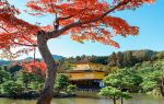 Kinkaku-ji