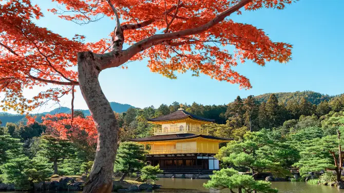 5_金閣寺