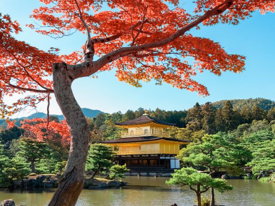 Kinkaku-ji