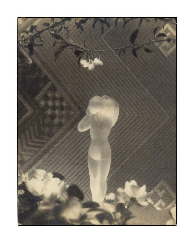 藝術攝影誕生展《光與魔法》 | 泰特現代藝術館