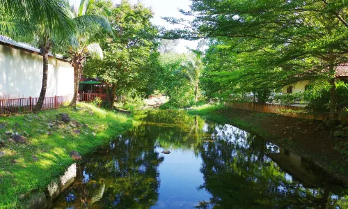 Oriental Village