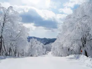 Hakuba Cortina 白馬Cortina滑雪場