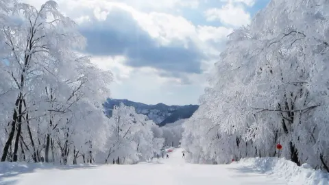 Hakuba Cortina Ski Resort attraction in Hakuba
