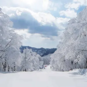 Hakuba Cortina 白馬Cortina滑雪場