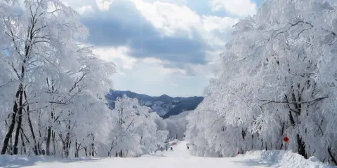 Hakuba Cortina 白馬Cortina滑雪場