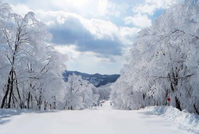 Hakuba Cortina 白馬Cortina滑雪場
