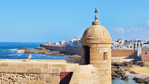Port of Essaouira Sqala