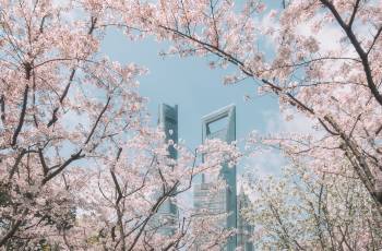 Top 13 Activities in Shanghai