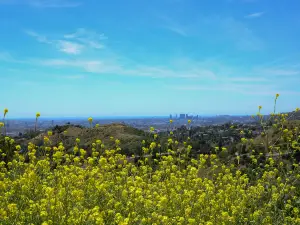 Top 15 Spring Outings in California