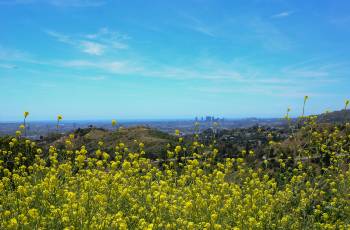 Top 4 Spring Outings in Los Angeles
