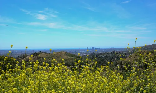 Griffith Park