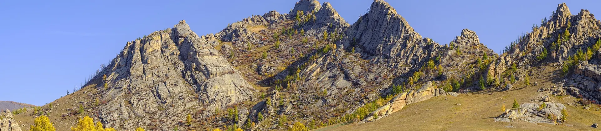 Fall Viewing Attractions