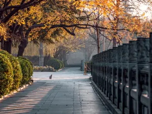 White Horse Temple
