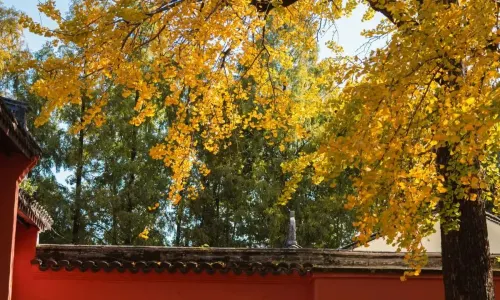 Quzhou Ancient City Cultural Tourism Area