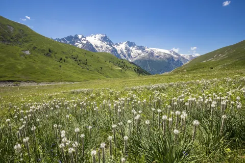 Nationalpark Écrins