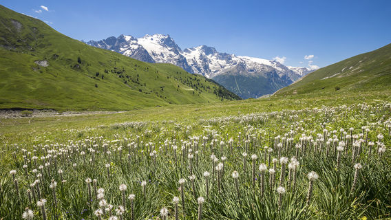 Parc national des Écrins