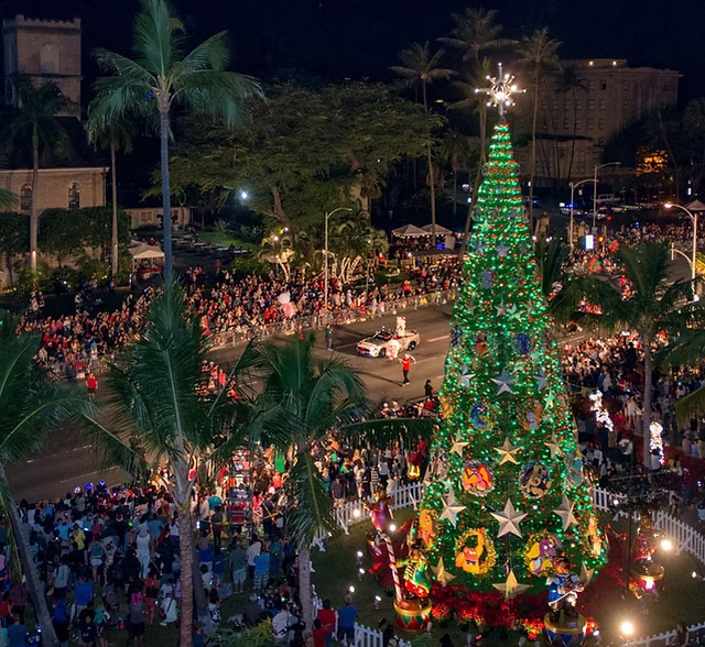 Honolulu City Lights | Seattle