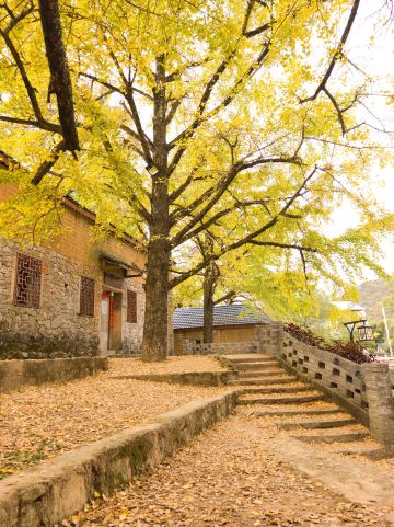 Haiyang Village