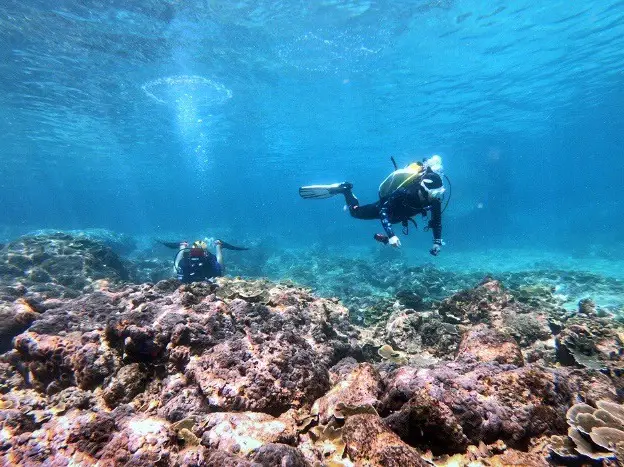 Phi Phi Island Scuba Diving One Day Trip