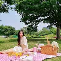 한강 피크닉 꿀팁 사람없는 곳!