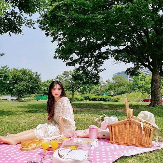 한강 피크닉 꿀팁 사람없는 곳!