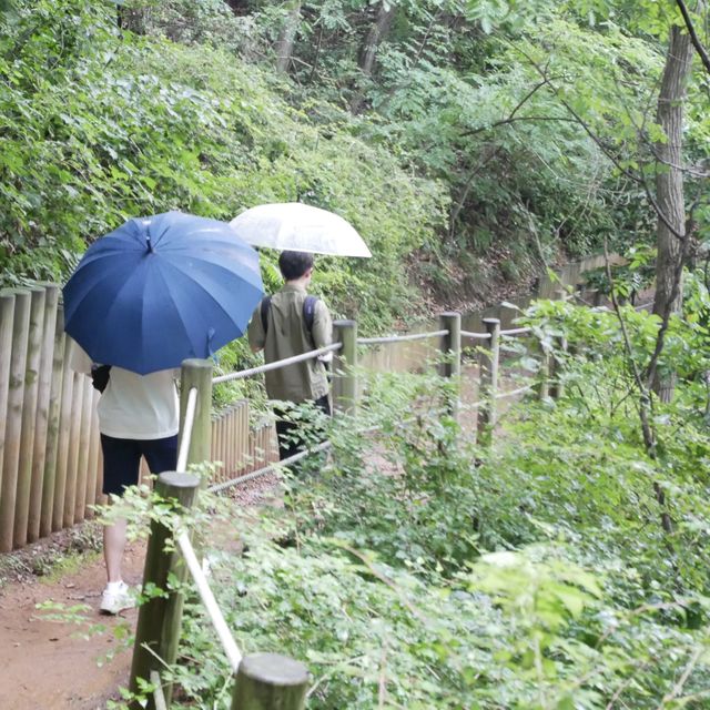 구봉도, 해솔길 바다산책!