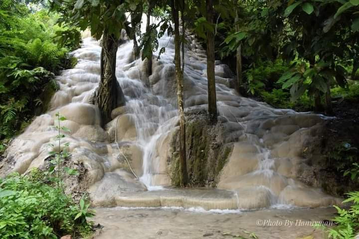 Namtok Bua Tong-Nam Phu Chet Si National Park - Mae Ho Phra Travel  Reviews｜Trip.com Travel Guide