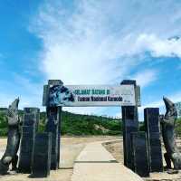 Komodo Dragons on Rinca Island