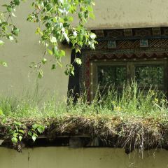 香格里拉仁安悦榕庄 User Photo