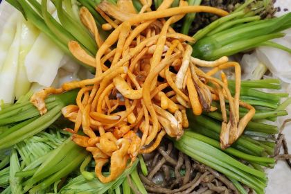 季季红土陶汤锅