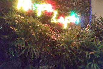 ริมผา ลาภิน User Photo