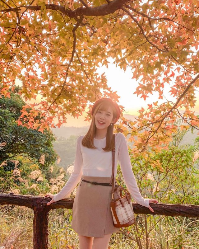 香港紅葉情報 1月8日紅葉指數更新 樹葉疏落 把握6個賞楓好去處遊記攻略 Trip Com遊玩攻略