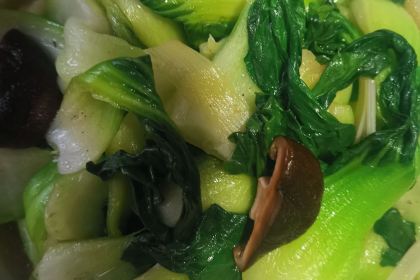 El Toro Langkawi - Mexican Bar & Grill