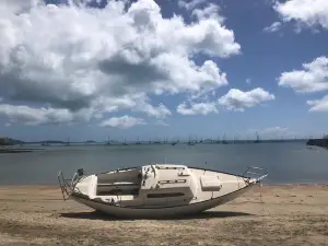 海洋騎士海馬牧場