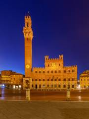 Palazzo Pubblico and Museo Civico