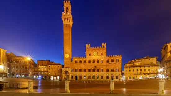 Palazzo Pubblico and Museo Civico