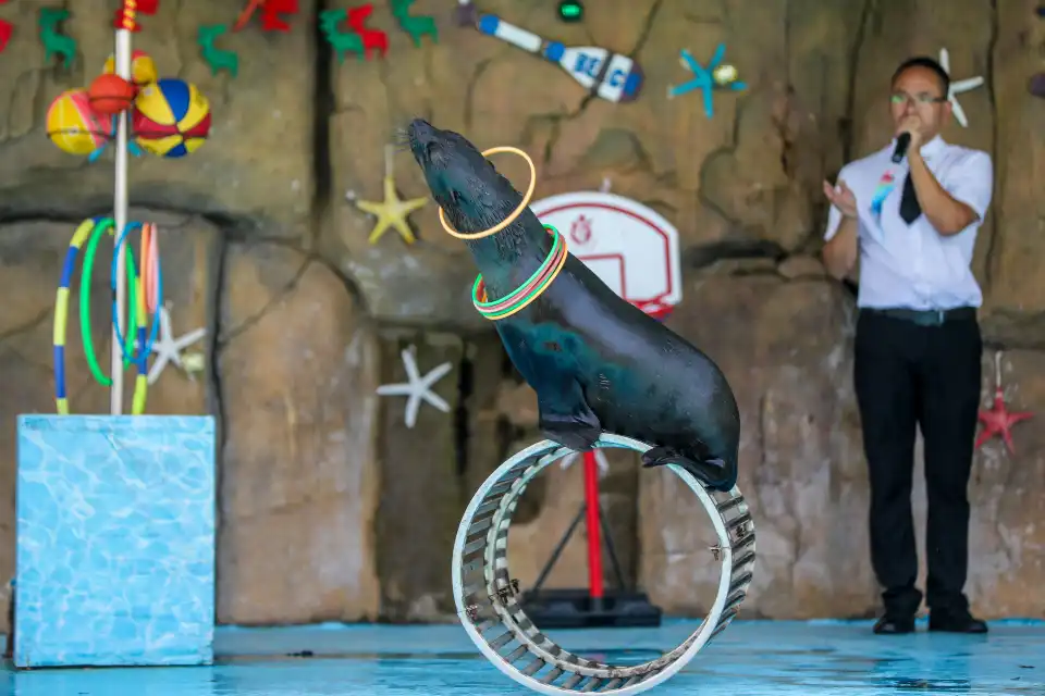 2_Lingling Animal Kingdom