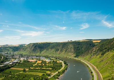 Rhine River